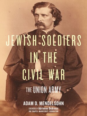 cover image of Jewish Soldiers in the Civil War